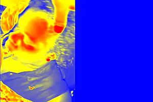 Watch this sloppy blowjob from a fat ebony amateur.