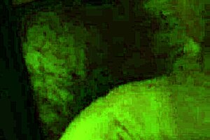 Uncle masturbates my hairy pussy