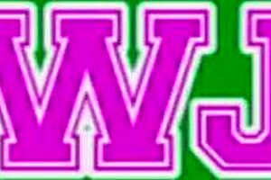 Luscious Brunette Teen 18+ Discovers Joyful Ride