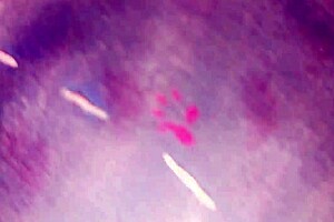 Horny Desi Gay Encounter