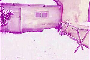 Hungarian Brunette Olga Stars in Retro MMF Anal 3some