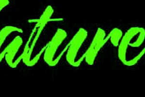 Hey, Sexy Redhead Heidi Is Getting Herself Off With Toys