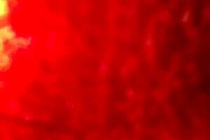 How Nicely She Models Her Nails With Latin Charm