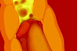 fucking pokemons lol, close up action