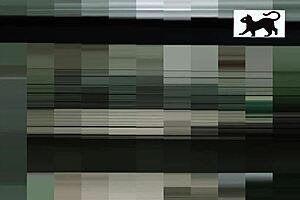 Neighbor is in action, moving around her house, unaware of being watched