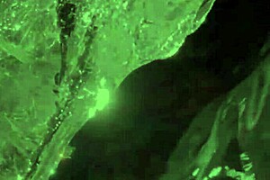 cheating with stepmom lauren phillips bent over her big ass!