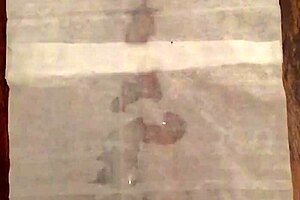 Slo-Mo Jerk with Cumshot