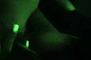 Cougar army lady with big tits and ass fetish