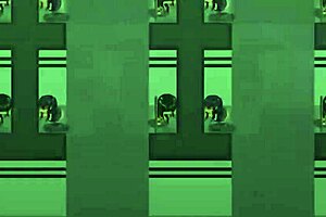 room full of cum women