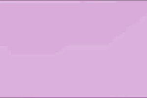 i'm kimmy kimm, seducing leo vice with foreplay before riding his big cock