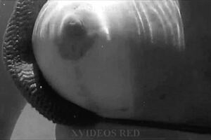 My Wife Poses on Brazilian Beaches