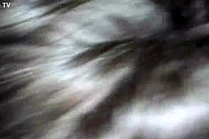 New Milf Teaches Teasing With Big Black Cock Blowjob