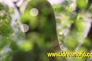 Jo's adventure in the wilderness