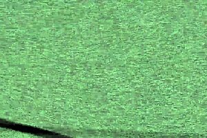 yes sir, i'll do anything you want, nicole nash says.