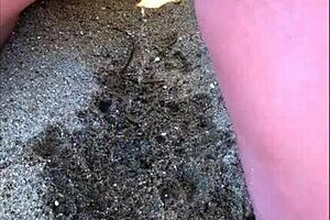 Dude, my wife peeing long on the beach!