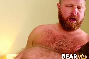 Cub Sucks, Fucks Ginger