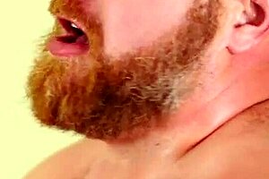 Cub Sucks, Fucks Ginger