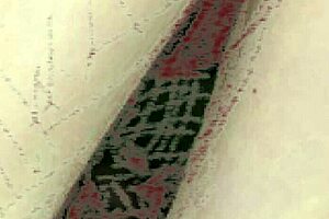 Drawing Milf Exuberant Hentai For You