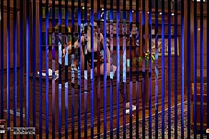 Alternate Existence: What if things were different?