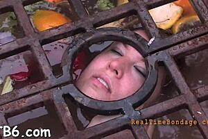 Free videos of hardcore BDSM and blow jobs