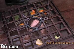 Free videos of hardcore BDSM and blow jobs