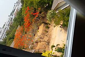 Just an Afternoon Fuck with Couple's Hardcore Pussy Close Up