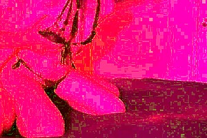 lazycatdoll asks if guest is satisfied with service 😊