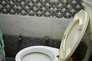 Hot housewife gets her ass fucked by stepson in bathroom