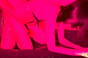 lazycatdoll asks if guest is satisfied with service 😊