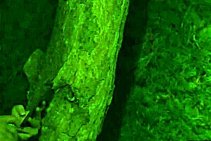 SHAME4K RIGHT FUCK RIGHT TIME