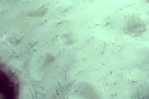 Outdoor Beach Encounter in Public View