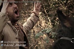 The adventures of Don Quixote in Spanish European literature