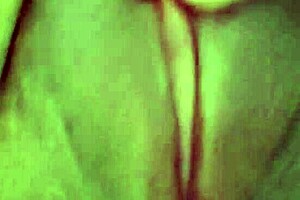 Indian babe rubbing her slutty cunt before work!