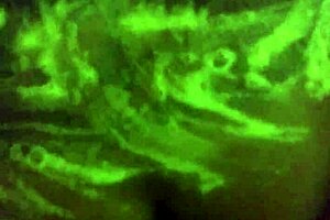 Mzkiwi Tries Anal For The 1st Time