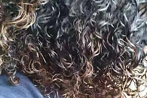 do two whores strip tease dance with ripped clothes?