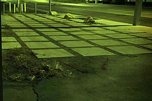 british bound anal clinic experience