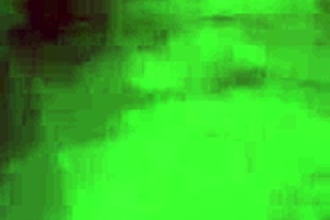 the guy was at the motel pool when he got a blowjob from the sexy black prostitute