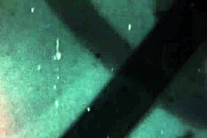 i'm horny for nicole as a tgirl