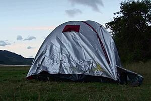 Sexy Colombian gives blowjob to boyfriend and fucks him to cum