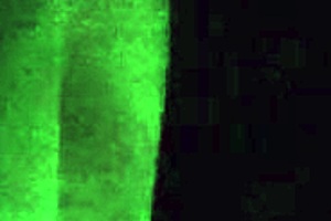 Petite Teen Grabs Stepson's Big Cock