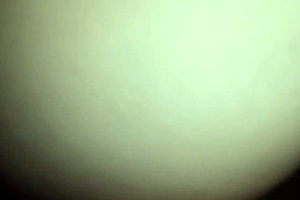 Pensé que era un sueño húmedo, pero ¡me están follando de verdad! No pares, me encanta tu cabecita rosada 😍