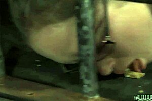 XV free porn with a great blow job and hardcore sex