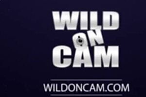 brunette dyke tribs ebony after oral and toy play