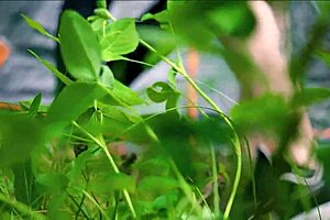 Fisting Queens Ksu Colt and Wild Tali in Anal Action