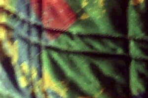 Latina Couple Sucking Monster Cock in Blowjob!