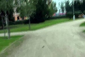 Brunette gives amazing blowjob cumshot 😘