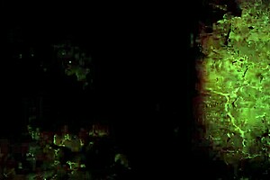 Vintage Erotic Illustration Unveils Retro Charm in Stunning Detail