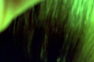 filming upskirt on train, invading home for sleep sex