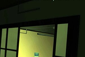 naruto and sakura engage in detailed anime hentai action