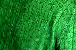 Petite Candie Cross On Knees For Facial Blowjob Cumshot Homemade Sex Tape!